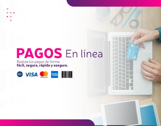 Pagos en línea previsora