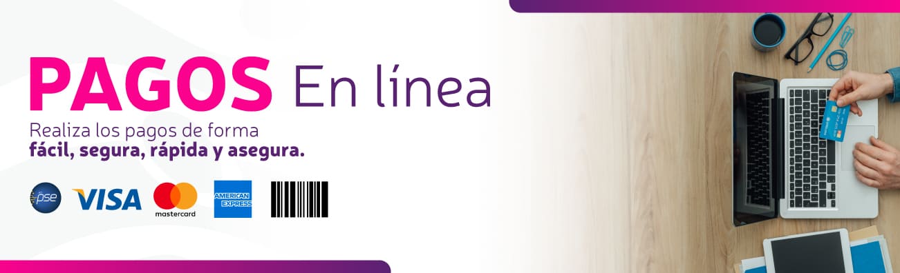 pagos en línea previsora