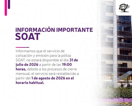 Información SOAT