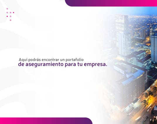 EMPRESAS PRIVADAS