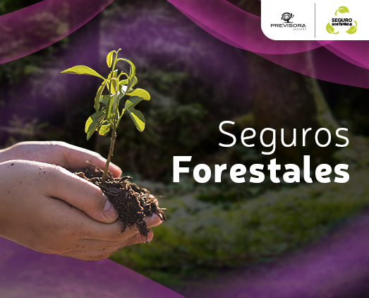 Seguro Forestales